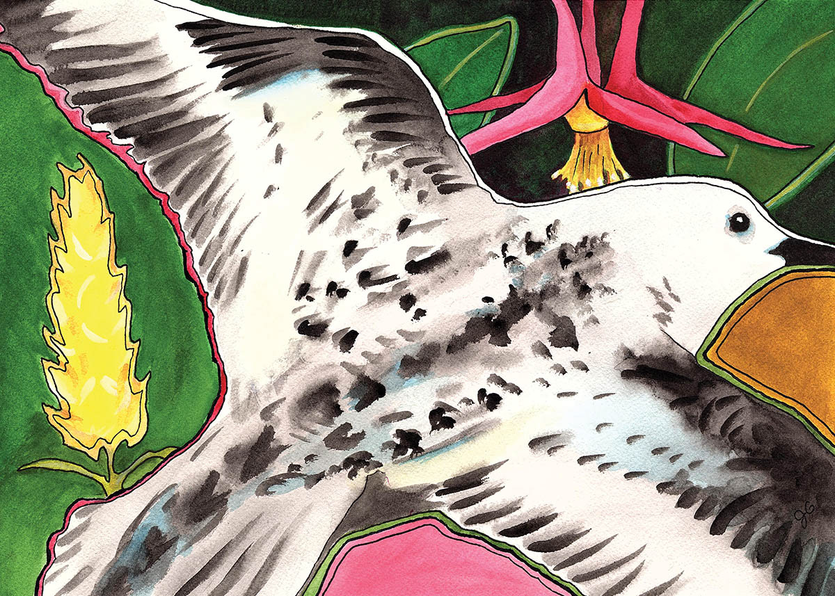 Migrating Sanderling, 2020. Watercolor, 10 x 14 inches.