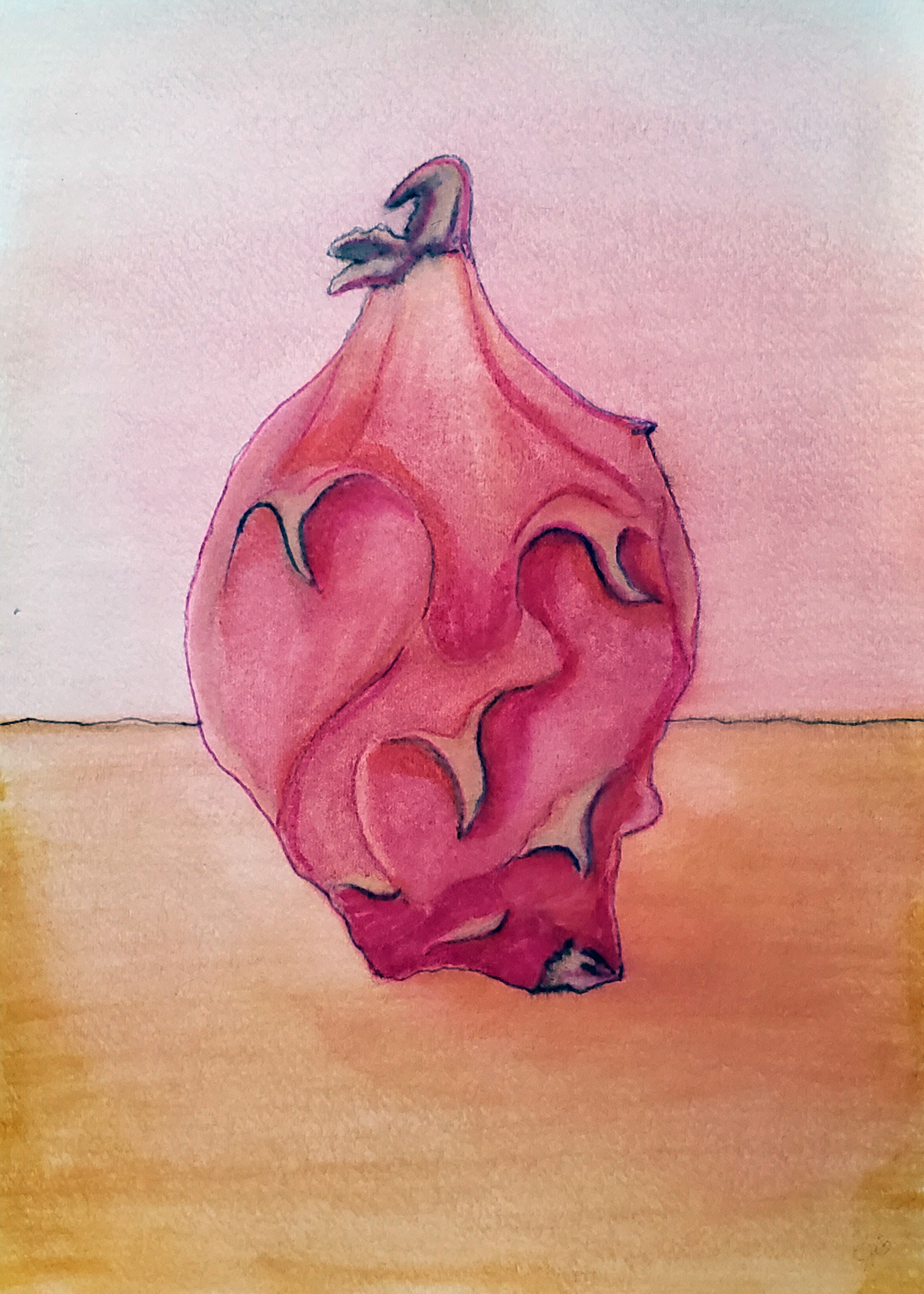 Dragon Fruit, Chico, CA 2024. Watercolor, 11 x 15 inches.