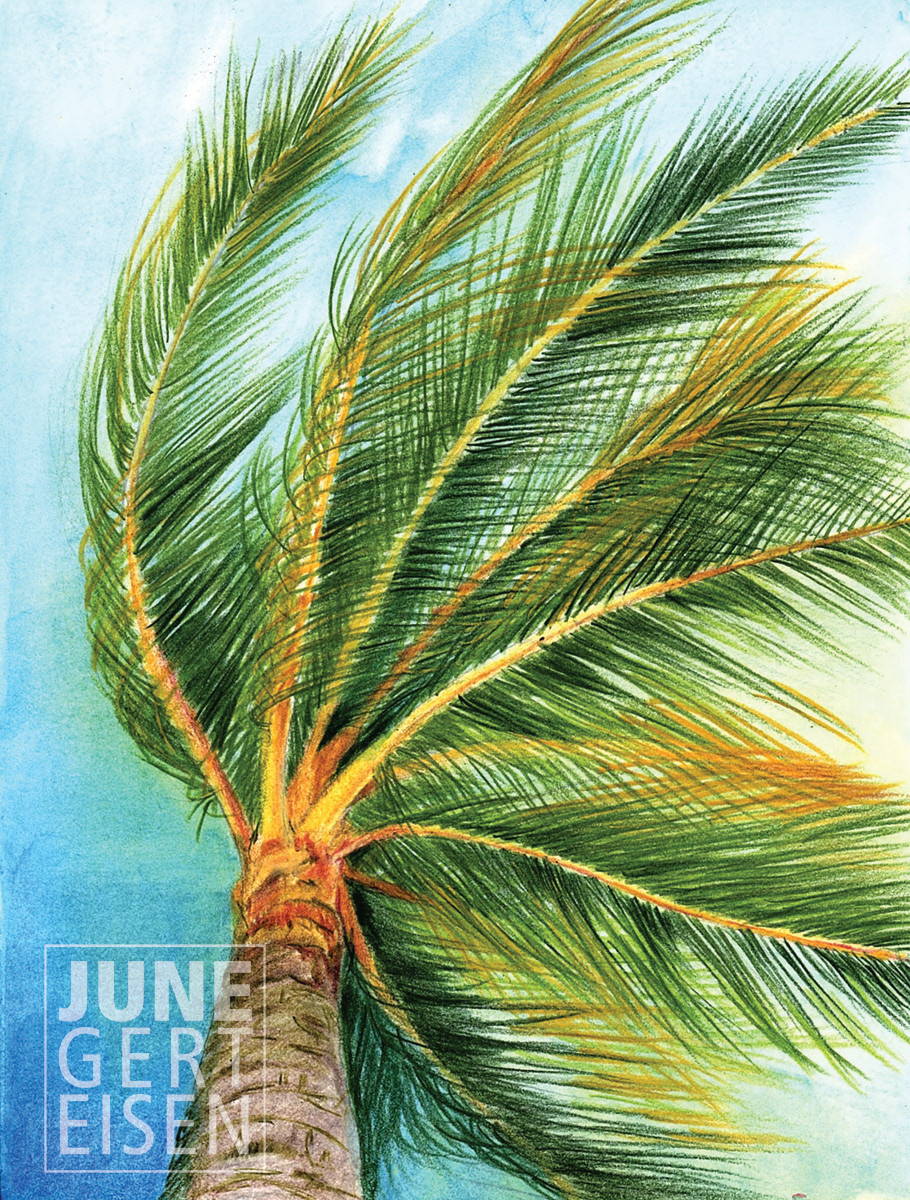 Coconut Tree, Kalahuipua'a Fishponds, Waikoloa Beach, HI 2020. 6 x 8 inches