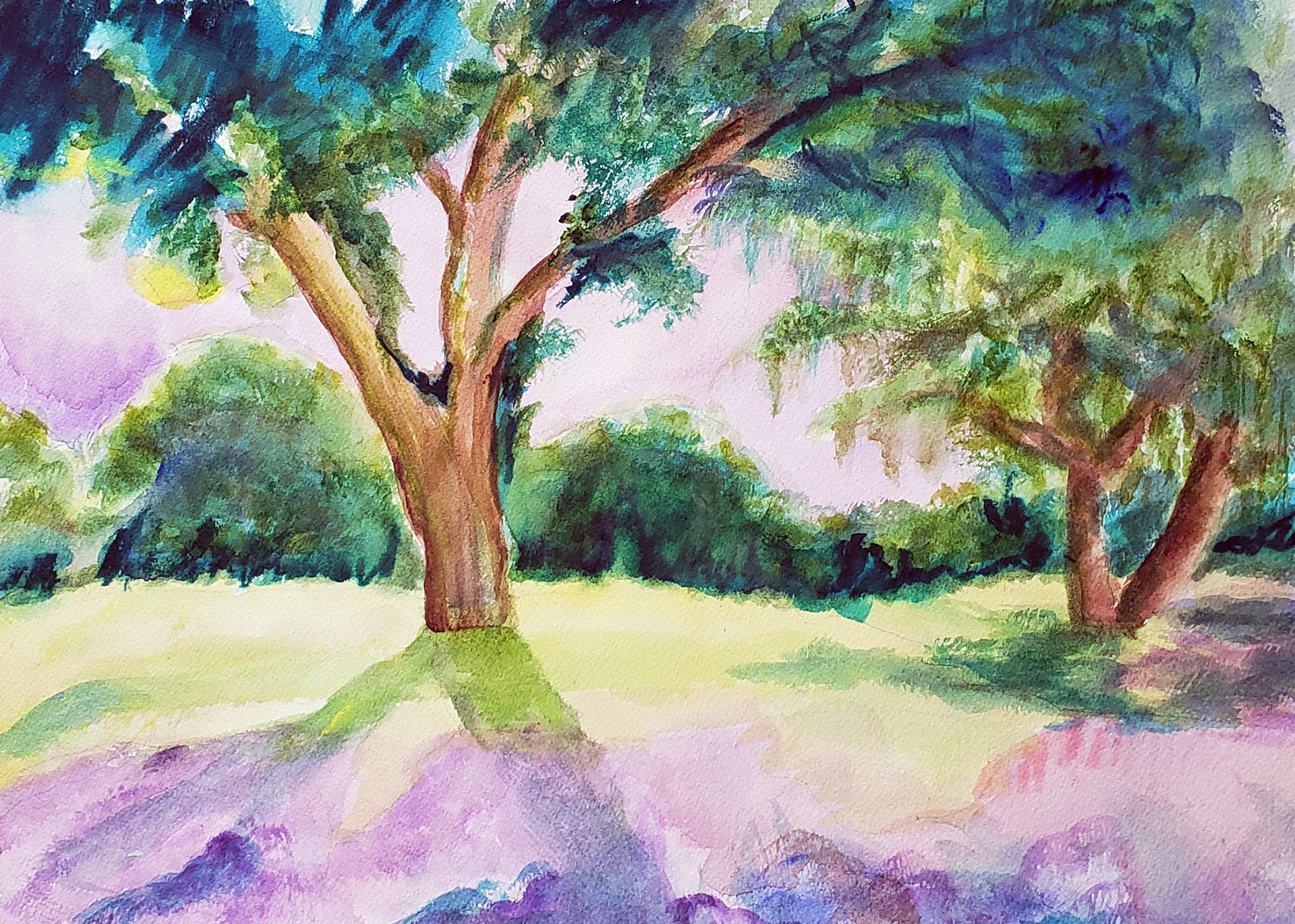 Fort Ord Tree, 2025. Watercolor, 12 x 16 inches.