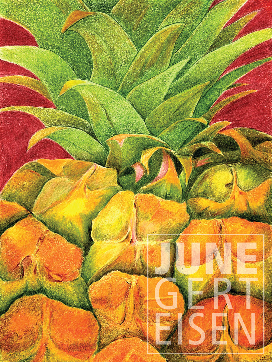 Pineapple, Waikoloa Village, HI. 2020. 6 x 8 inches
