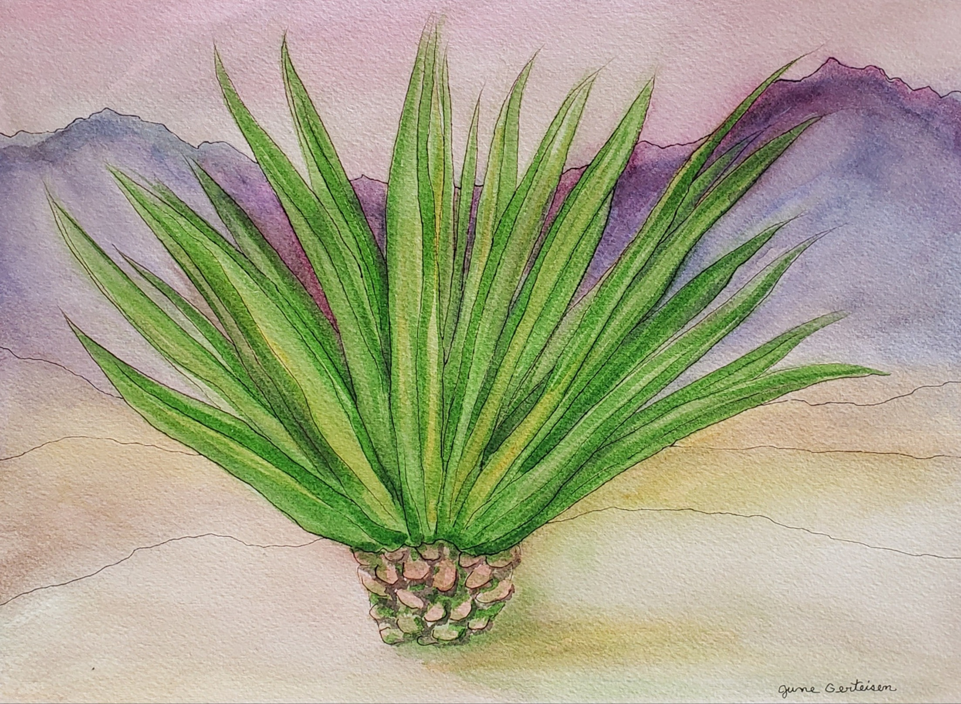 Oro Valley, Arizona, 2024. Watercolor, 11 x 14 inches.