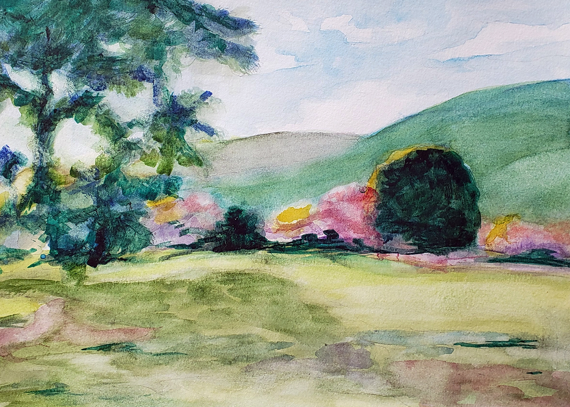 Monterey Tree & Meadow, 2025. Watercolor, 9 x 12 inches.