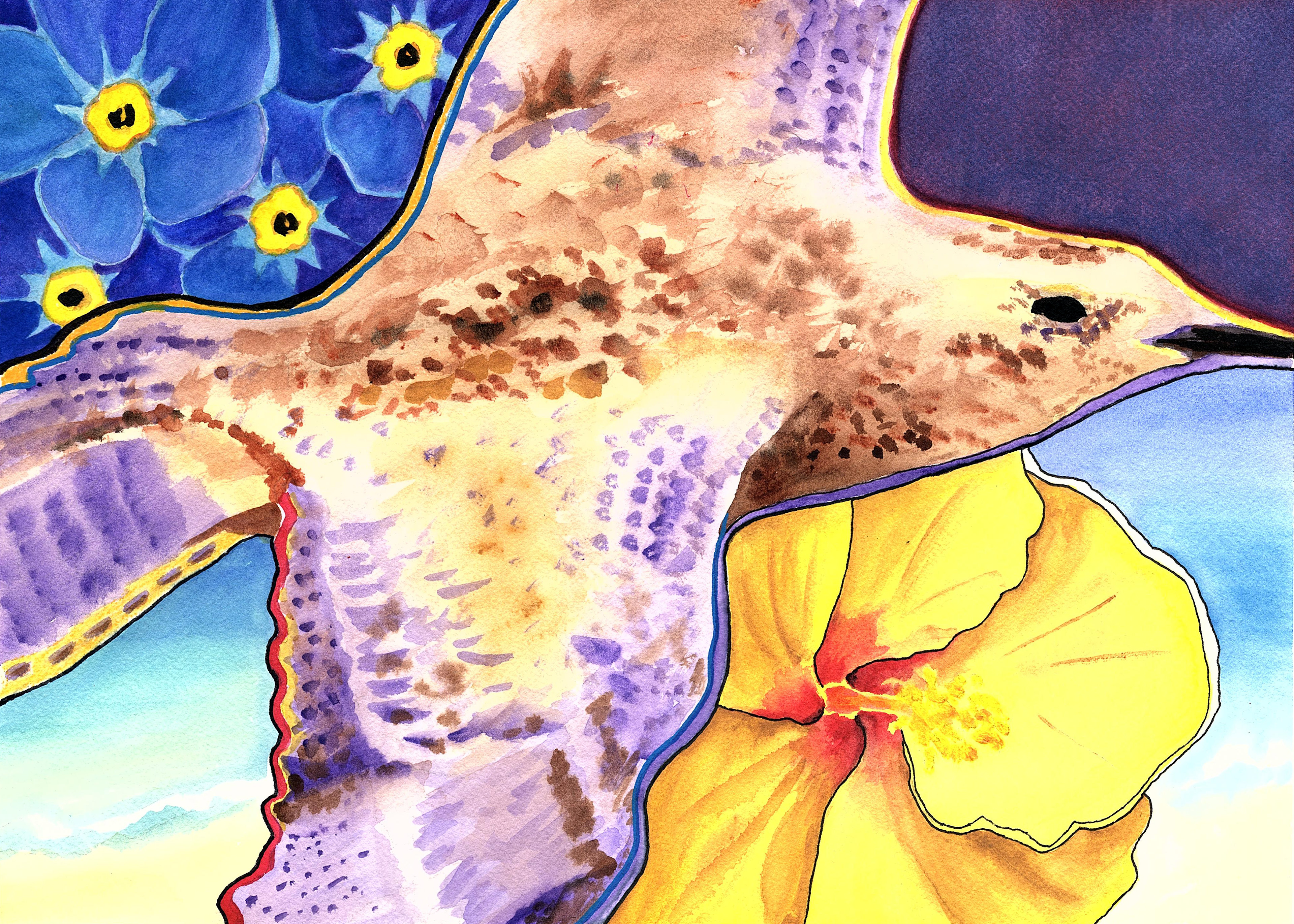 Migrating Pacific Golden Plover, 2020. Watercolor, 10 x 14 inches.