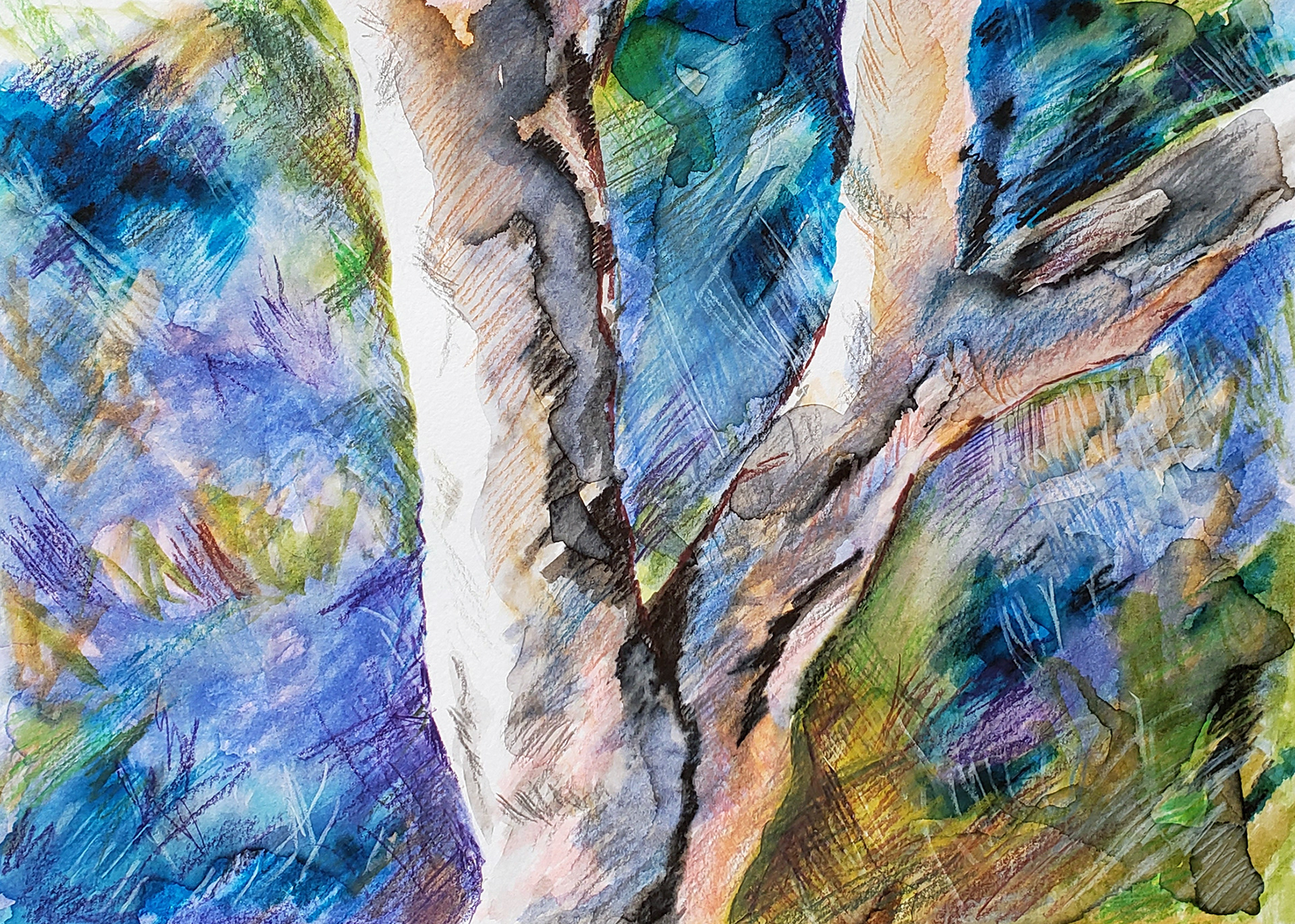 Acorn Tree, 2025. Watercolor, 9 x 12 inches.
