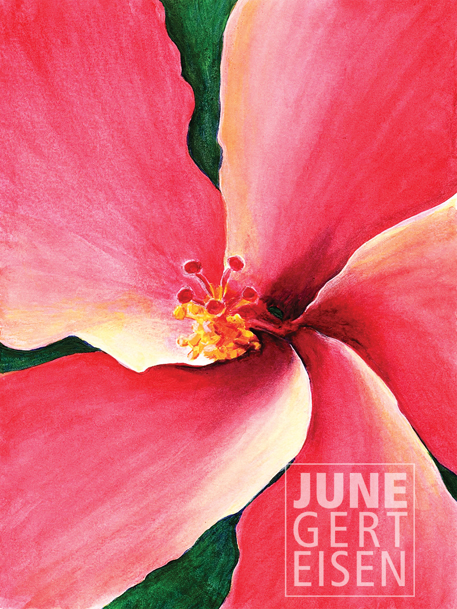SOLD - Red Hibiscus, Big Island, HI. 2020. 6 x 8 inches