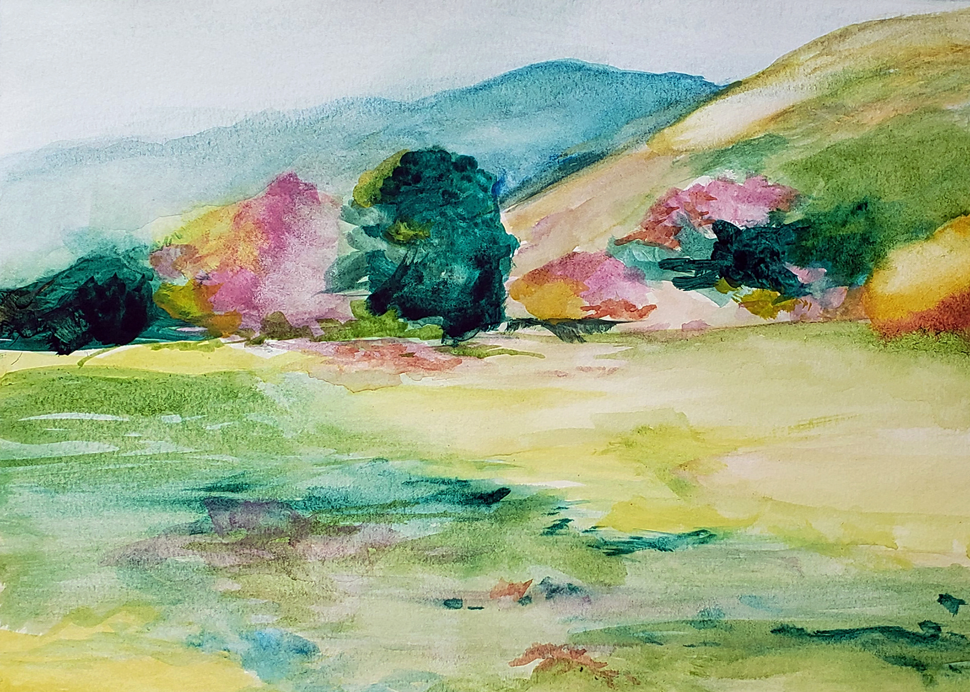 Monterey Meadow, 2025. Watercolor, 9 x 12 inches.