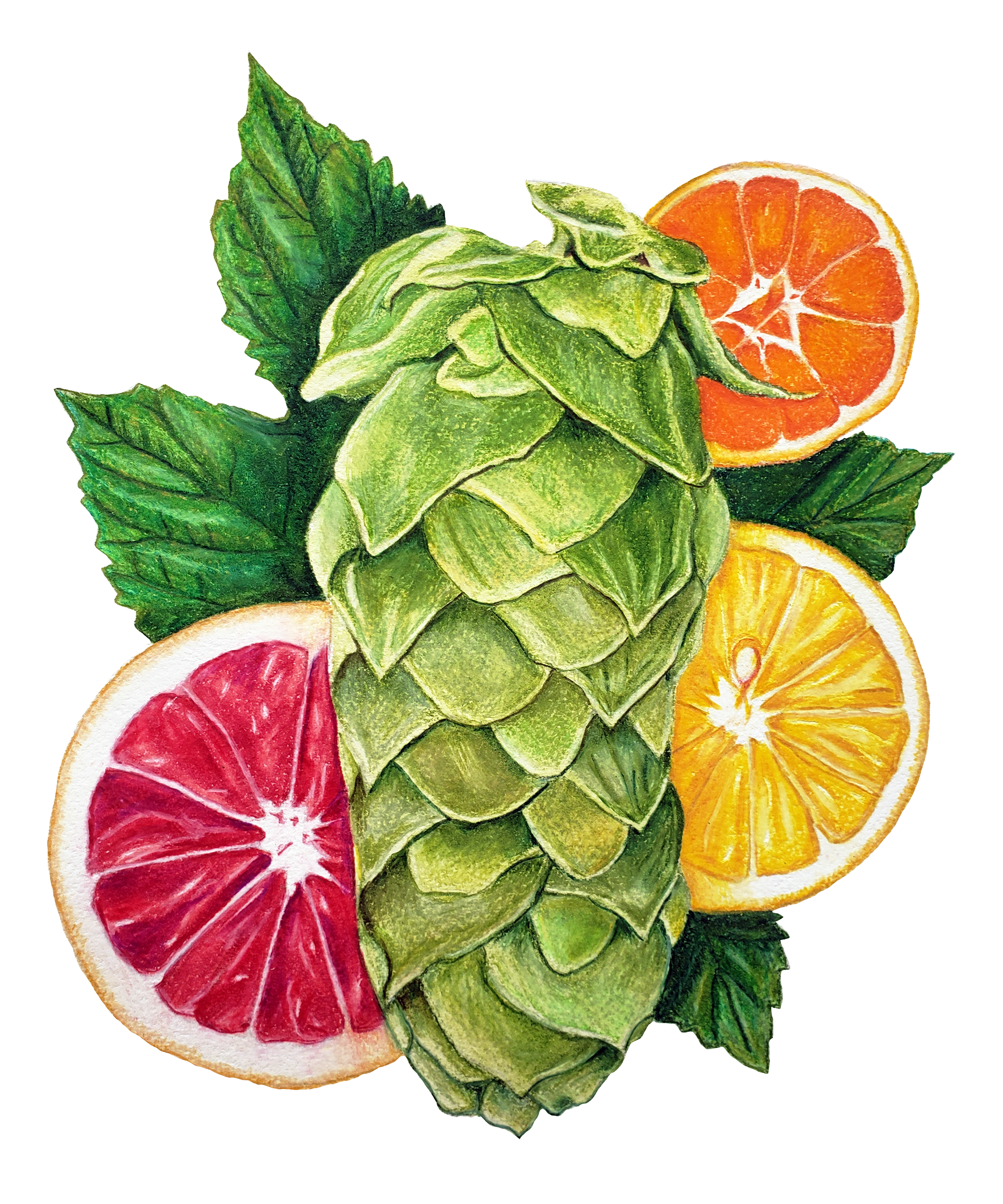 SOLD - Mandarina Hop, 2021. Colored pencil, 12 x 9 inches.