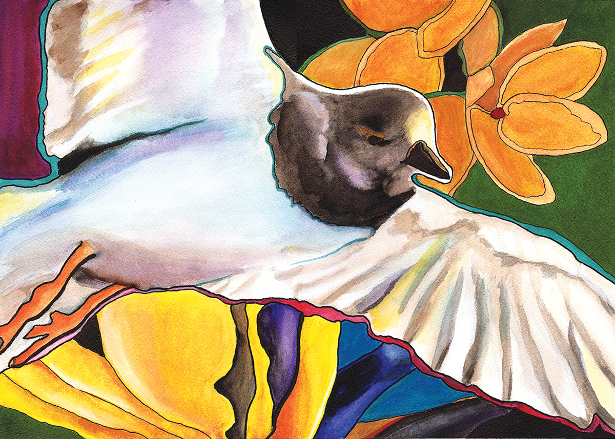  Migrating Ruddy Turnstone, 2020. Watercolor, 10 x 14 inches.