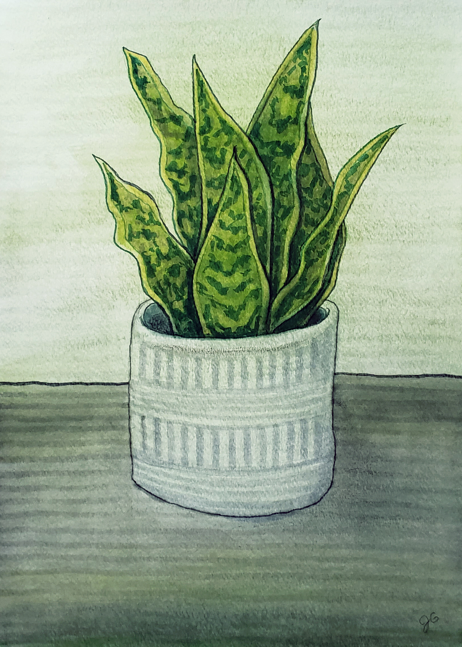 Plant, Chico, CA 2024. Watercolor, 11 x 15 inches.