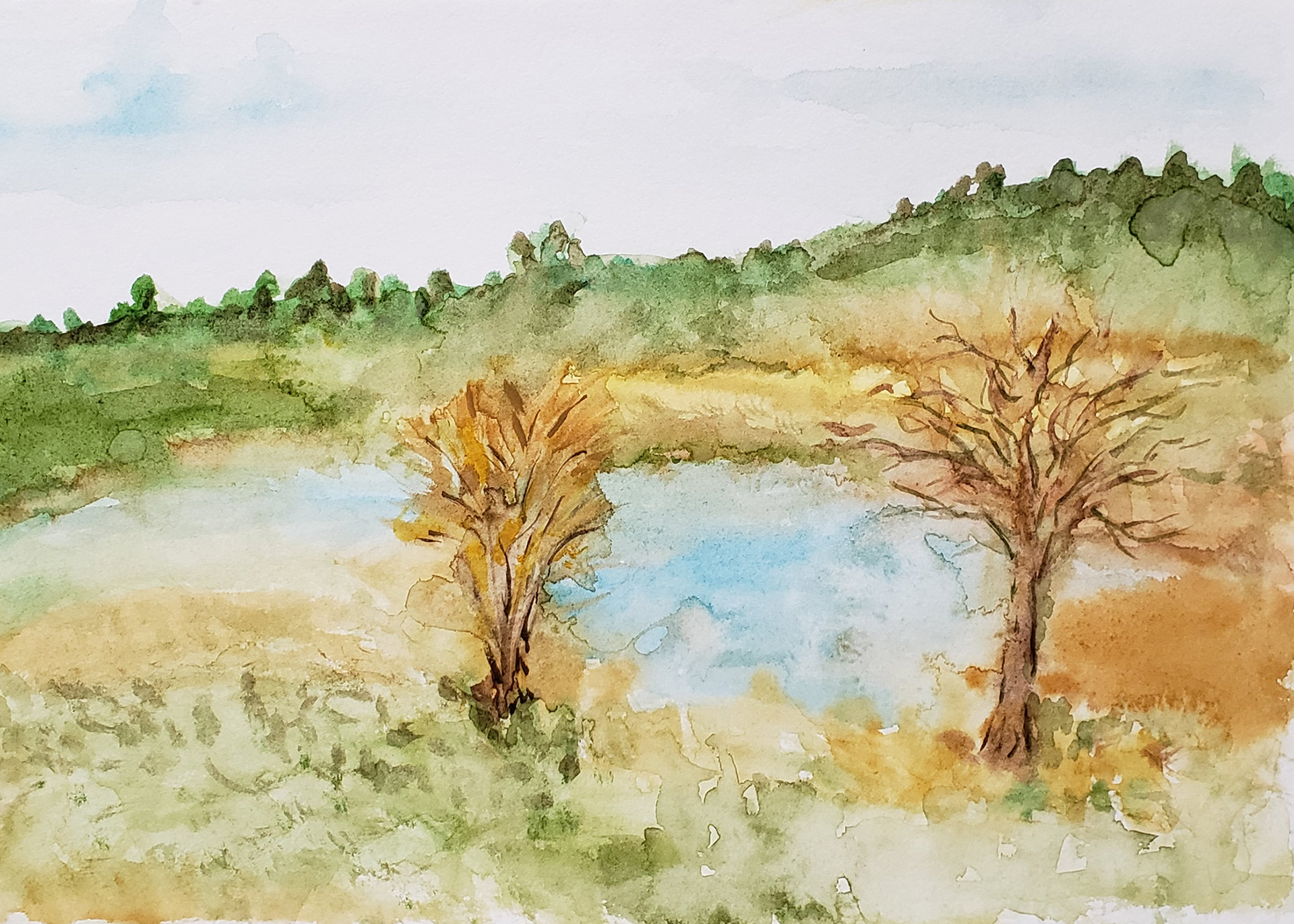 Upper Bidwell Park, Chico, 2025. Watercolor, 7 x 10 inches.