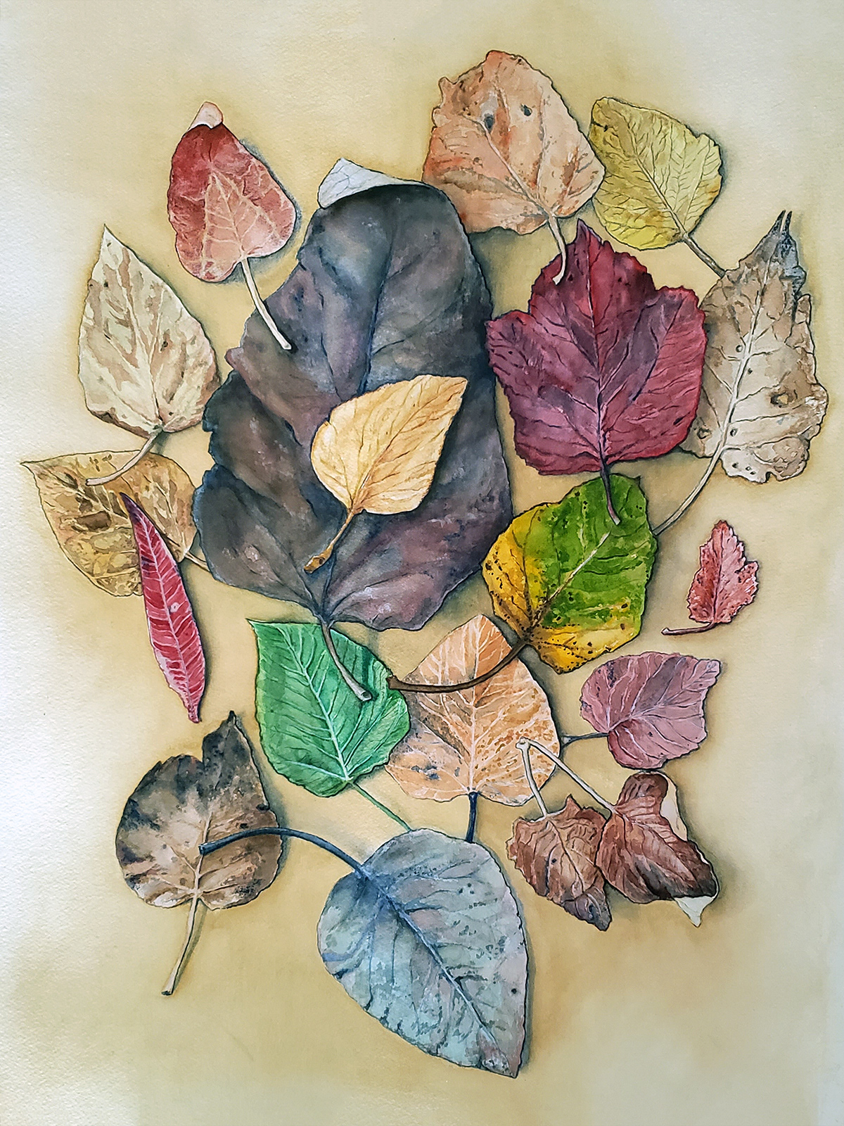 Alaska Leaves, 2024. Watercolor, 30 x 22 inches.