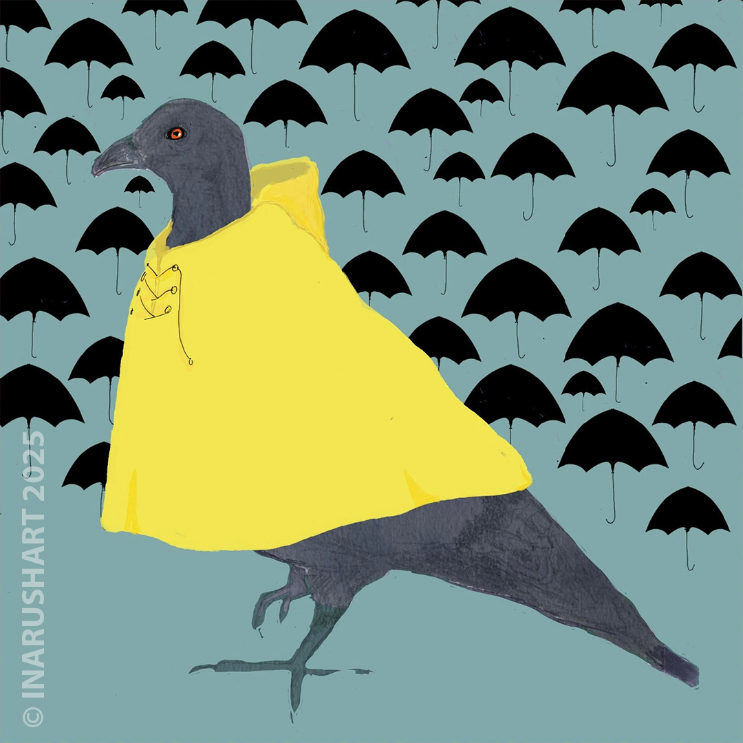 Rainy Day Pigeon