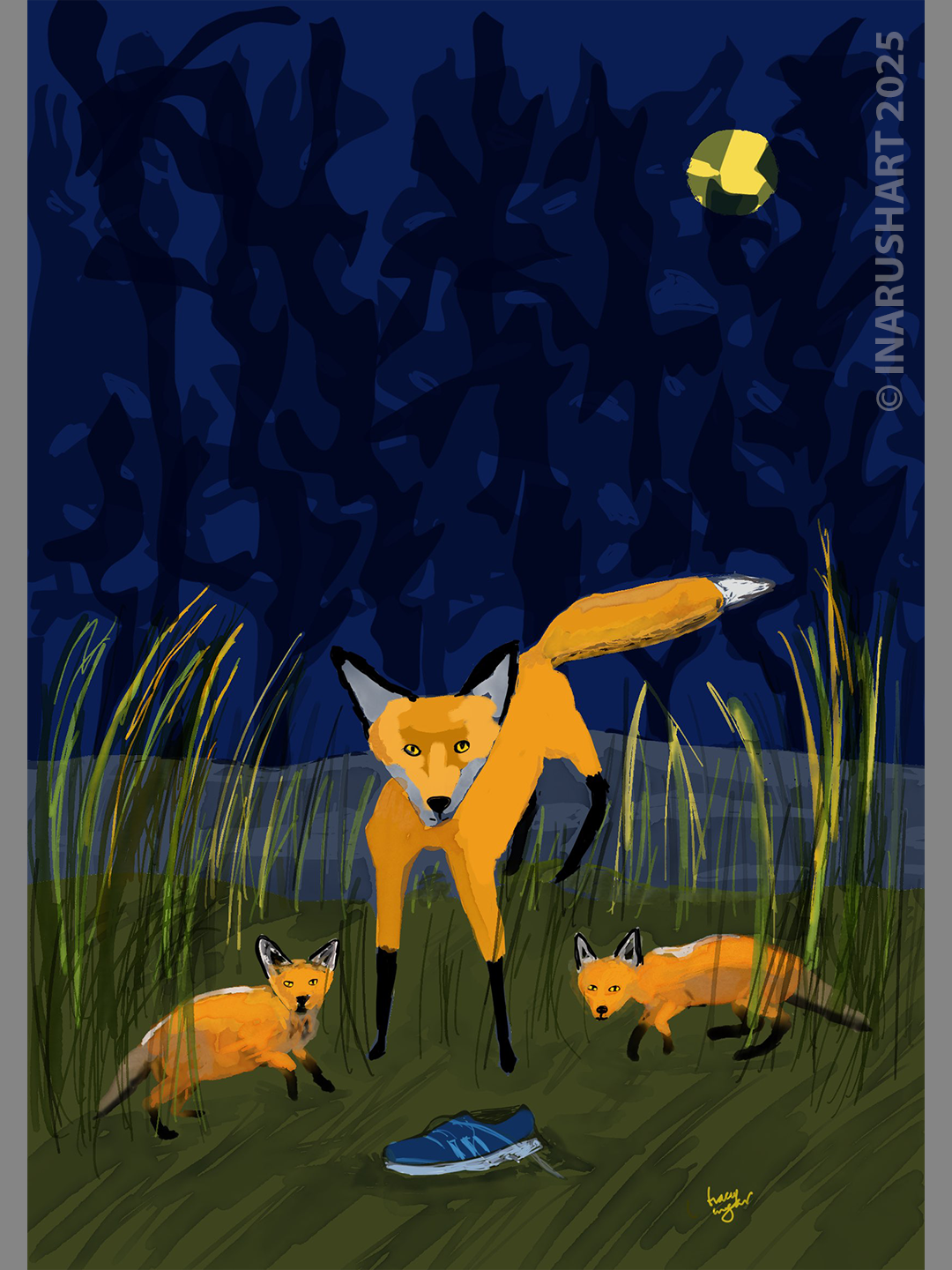 Night Fox