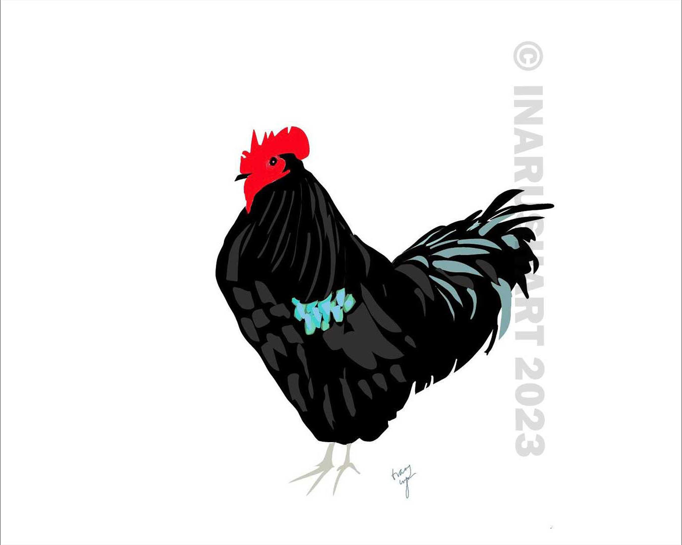 Black Rooster