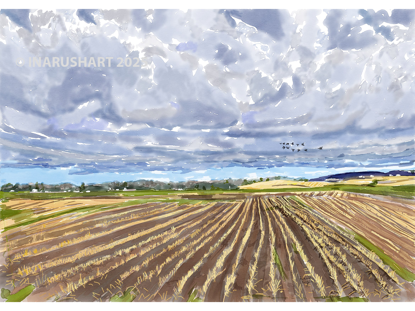 November Fields & Geese