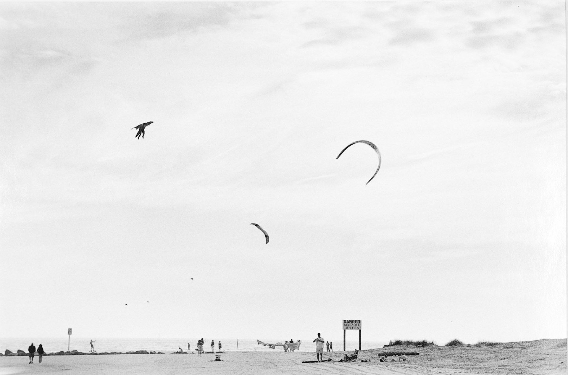 Kites and Birds