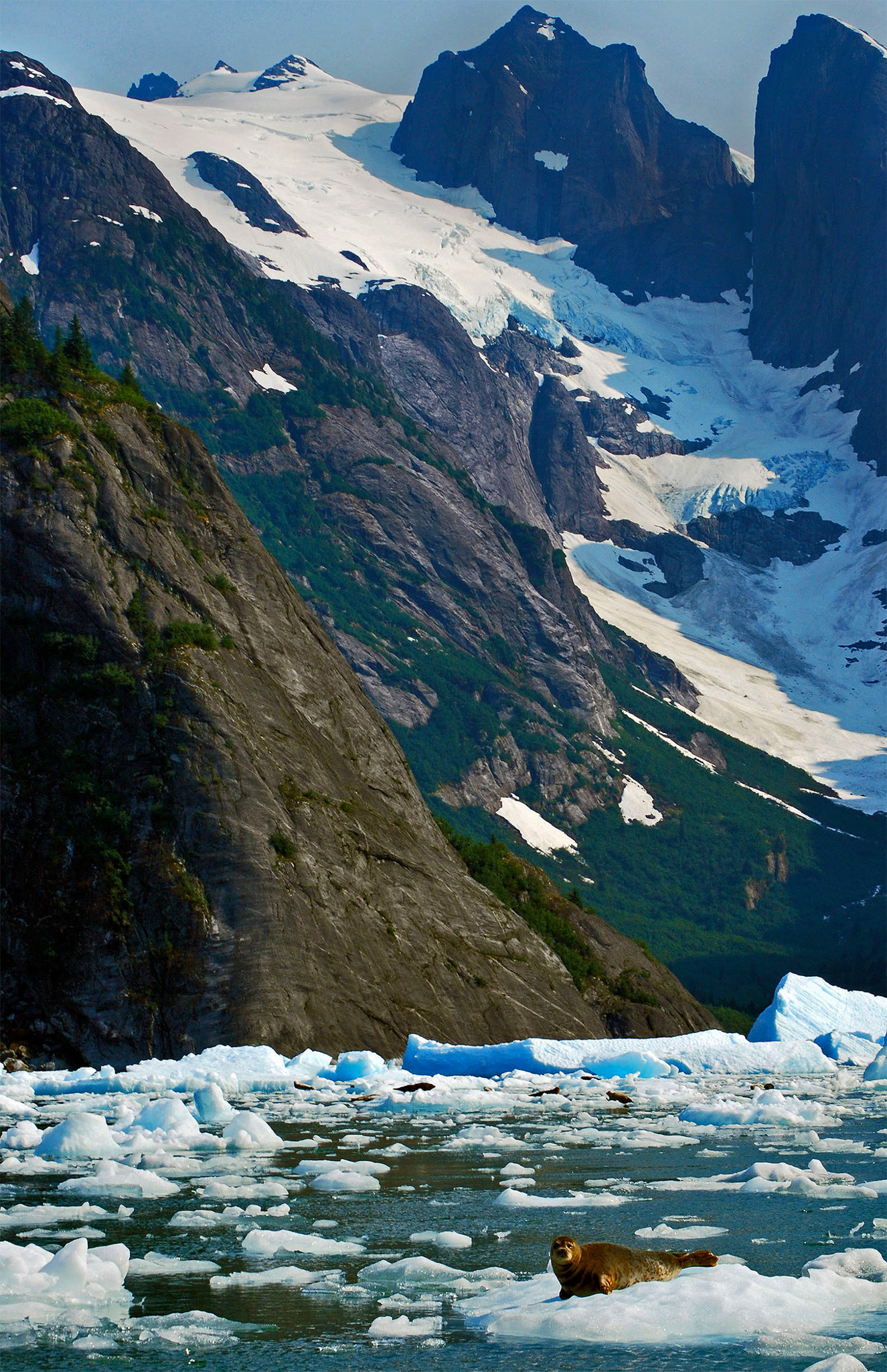 LECONTE GLACIER