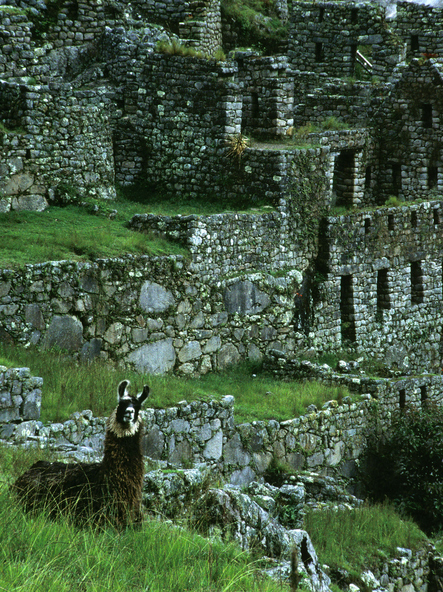 Images from slides from the book An Alaskan World Discovery.