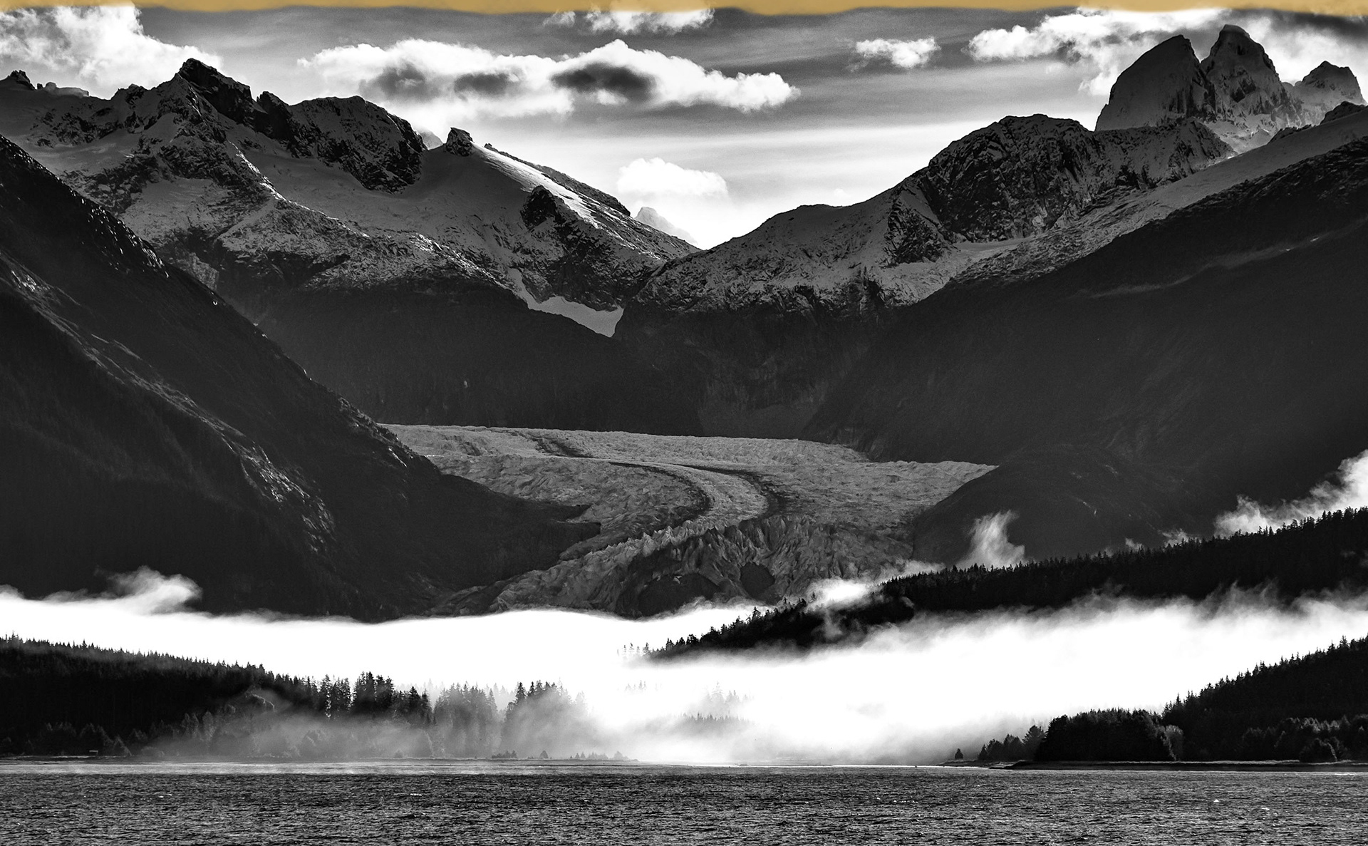 HERBERT BLACK AND WHITE