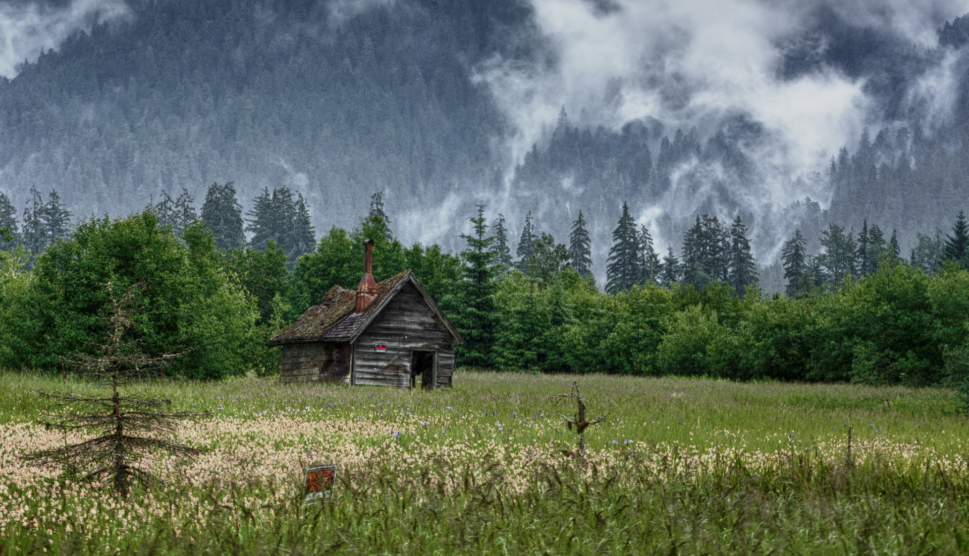 JUNEAU MENDENHALL VALLEY
