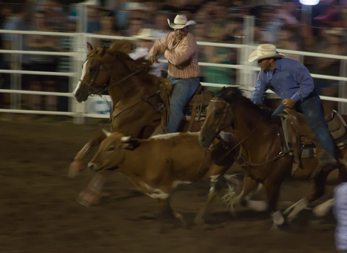 RODEO