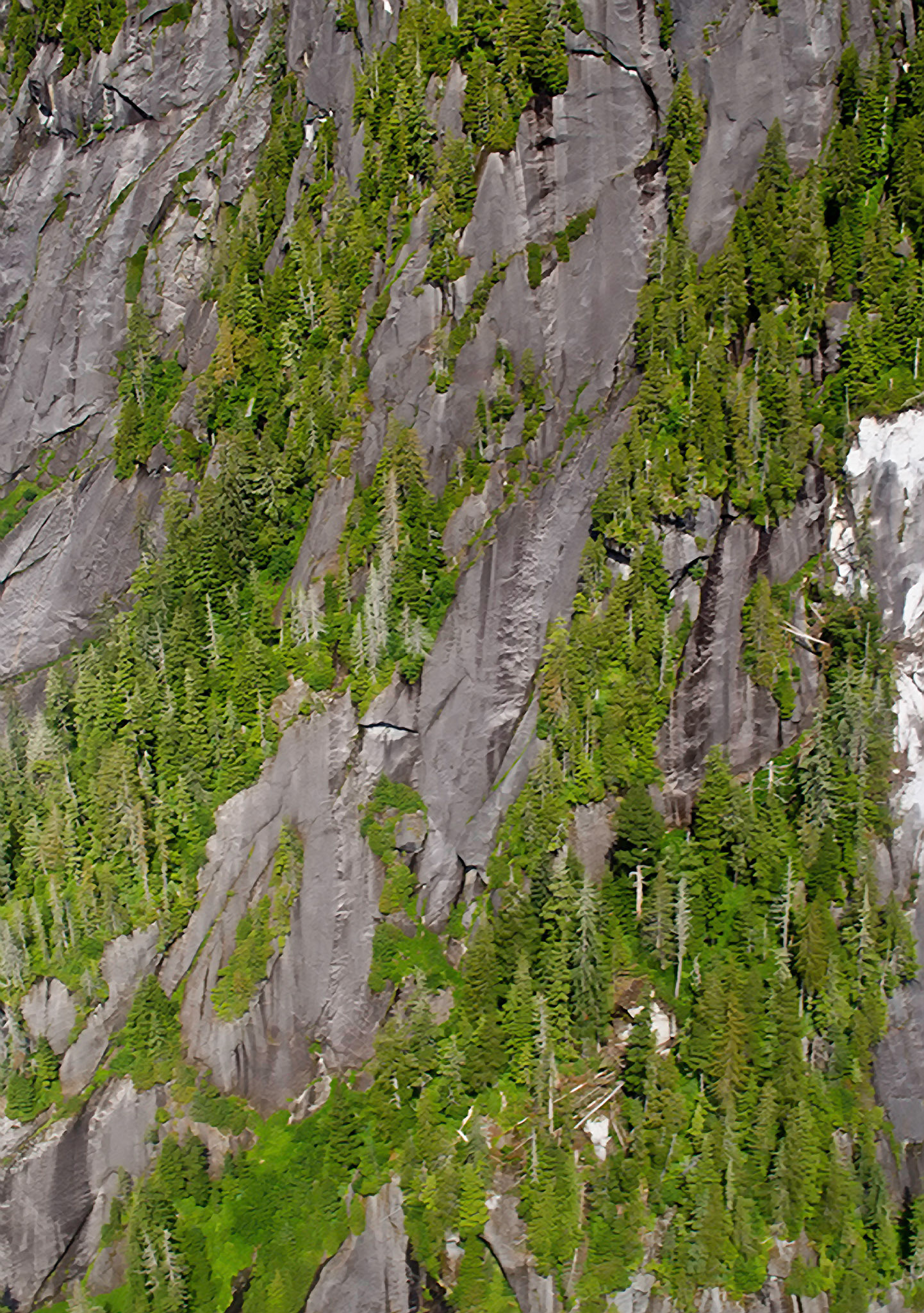 MISTY FIRIODS CLIFFS