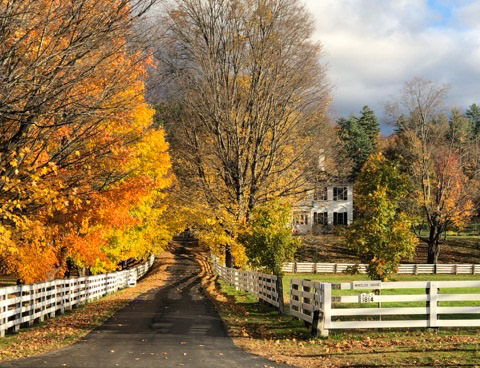 sunrise in the winter
