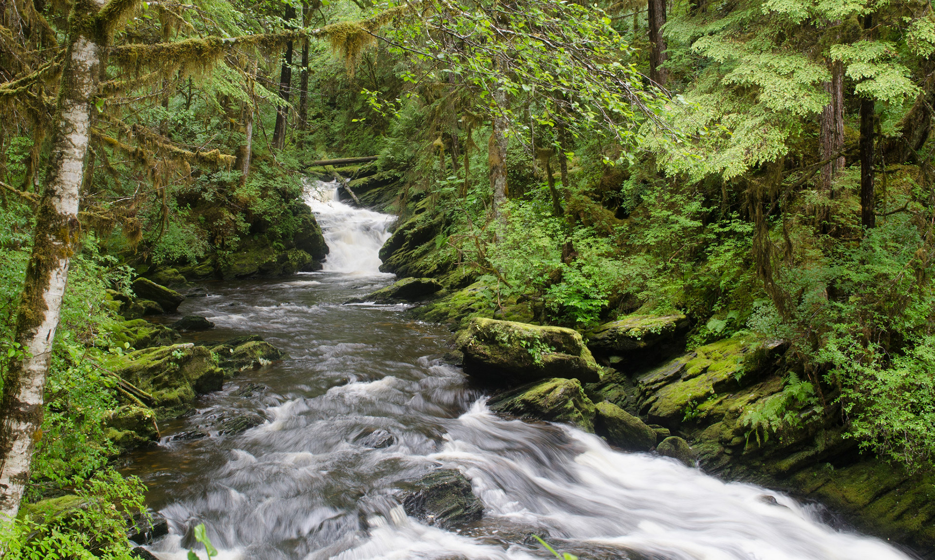 LUNCH CREEK KETCHIKAN