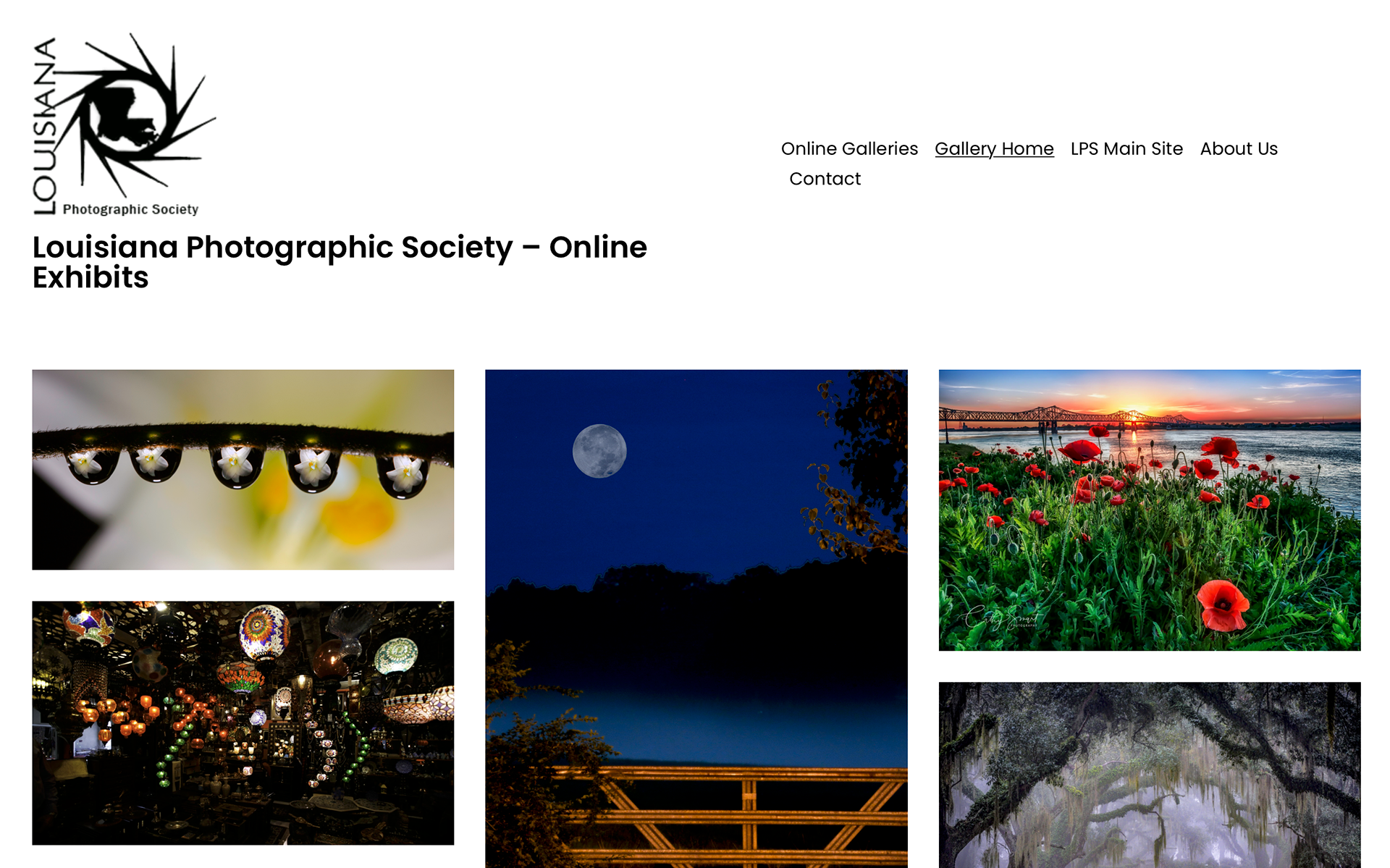 Louisiana Photographic Society - Online Exhibits
