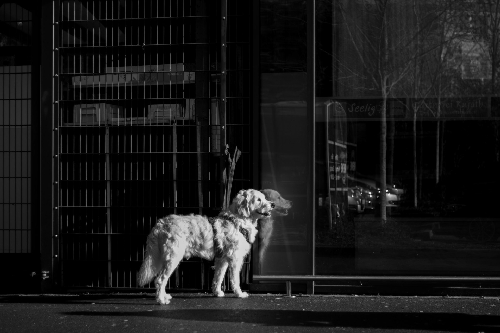 not allowed in