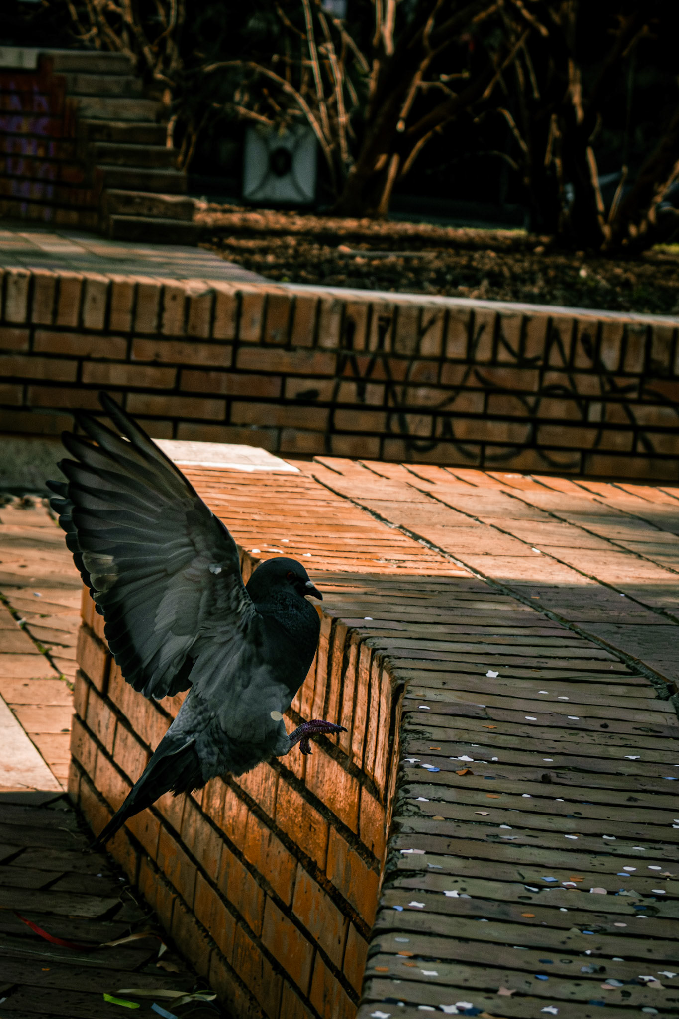 landing