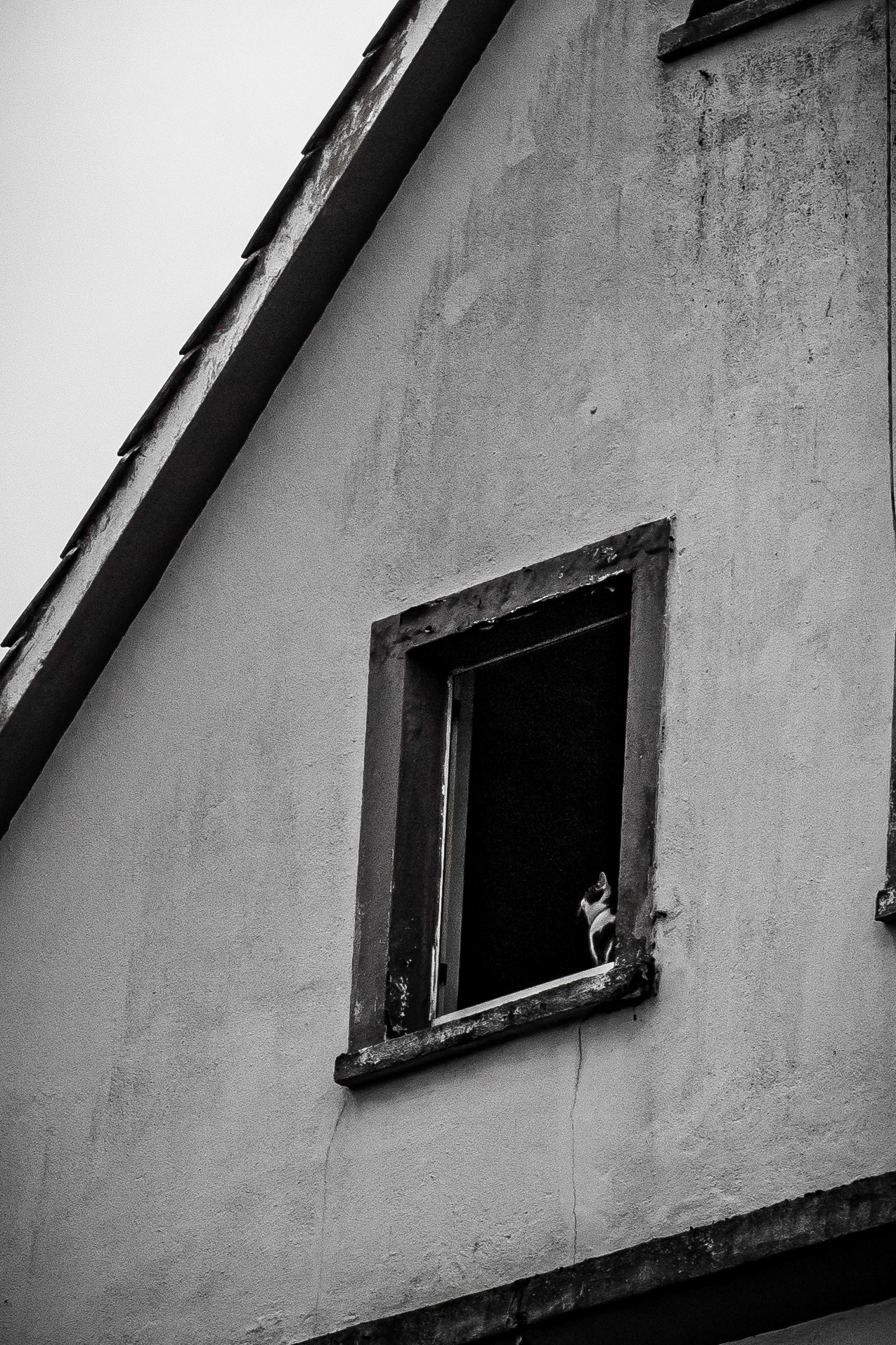 looking out
