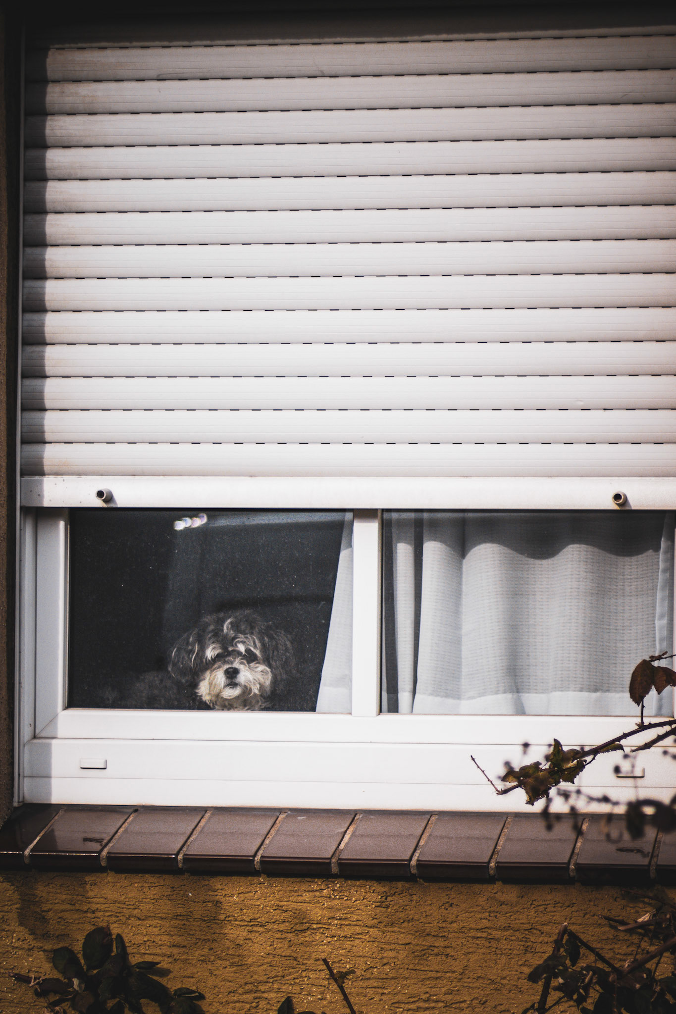 looking out