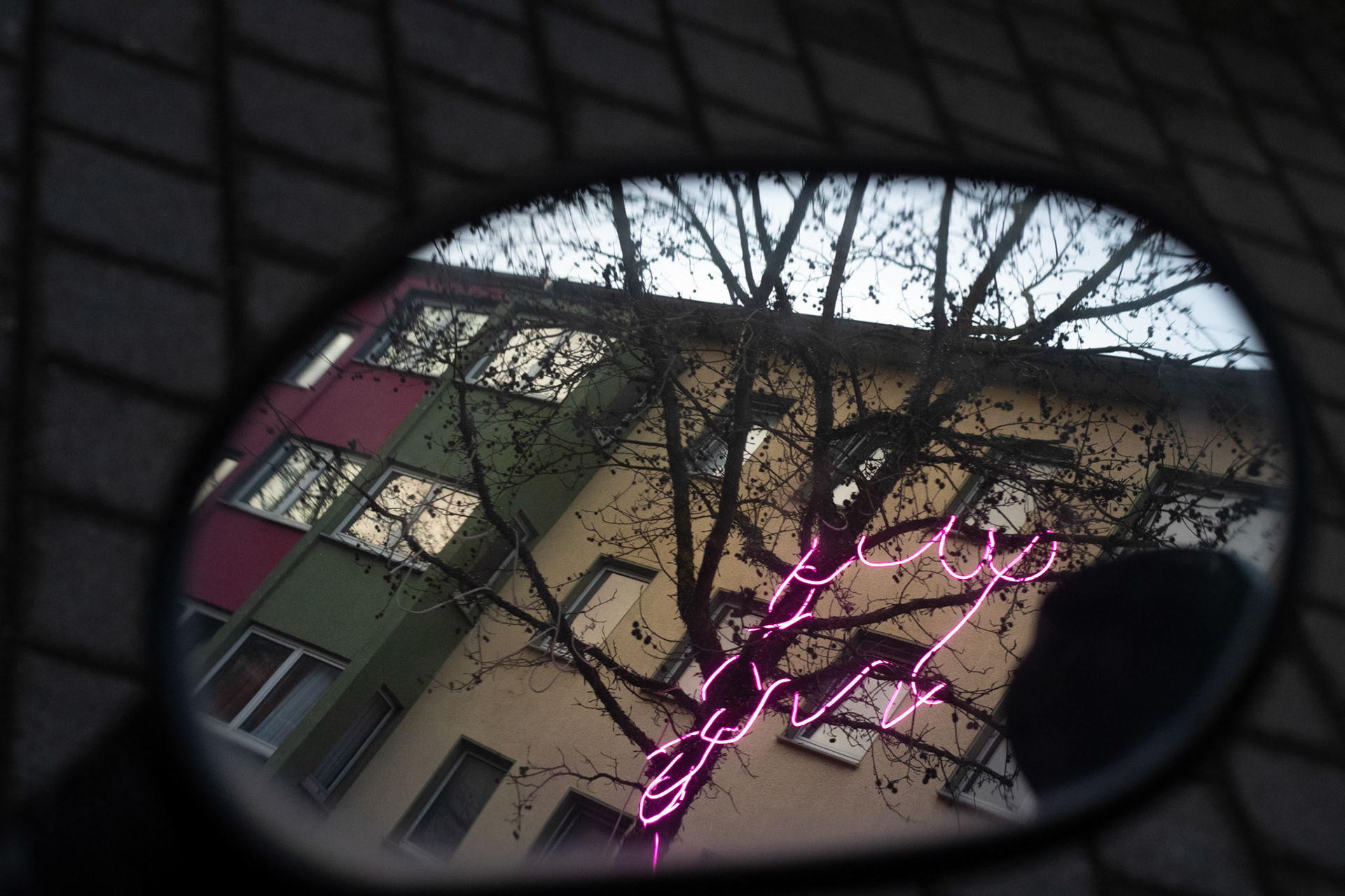 Pink spaghetti