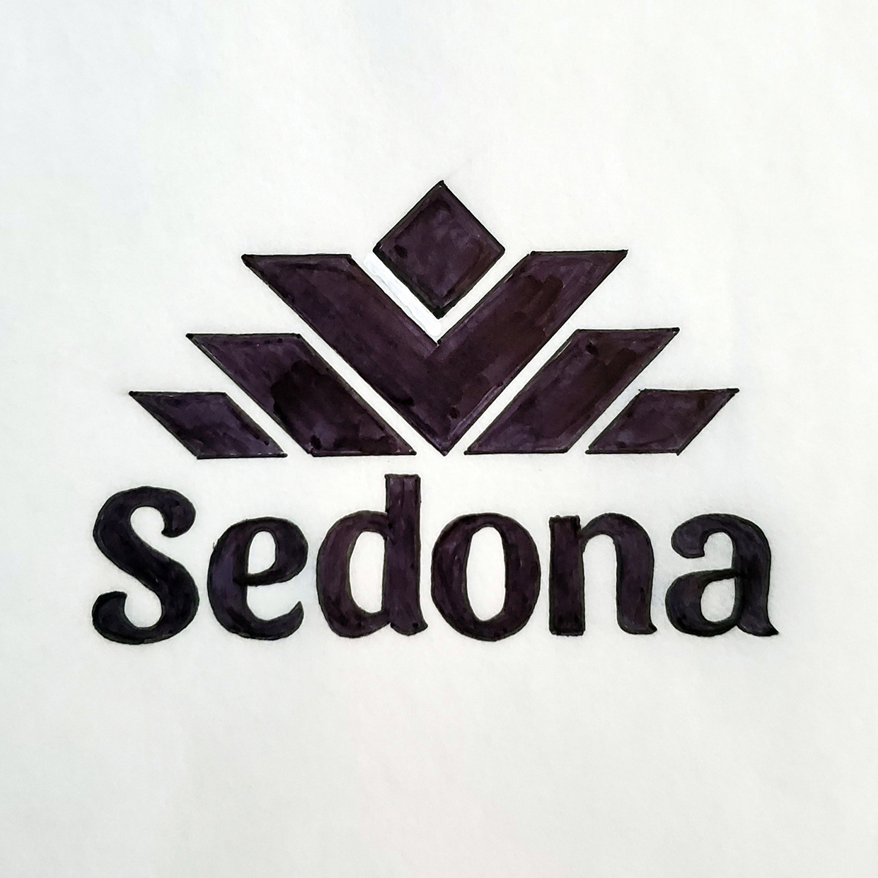 This combination logo is a representational agave plant in the style of southwestern textile patterns, with a playful yet modern sans serif typeface.