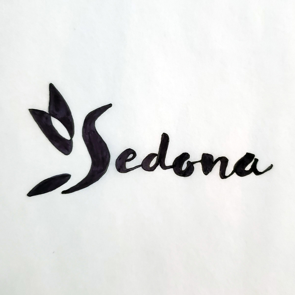 For this concept I wanted the S to represent a hummingbird but abstracted as much as possible. The S and feathers could stand on their own as a lettermark. The lettering suggests brushstrokes and a messy, creative feel.