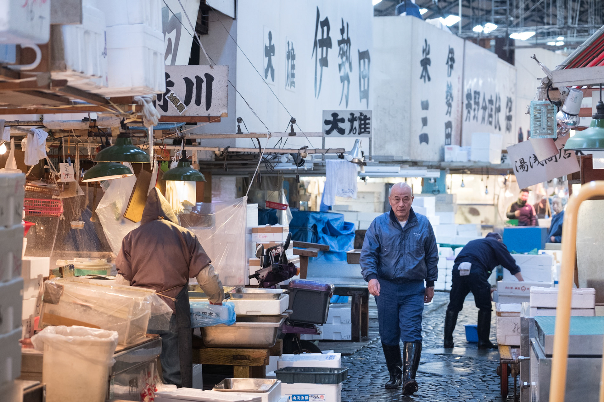 Scene inside the world's largest fish market, Tsukiji.