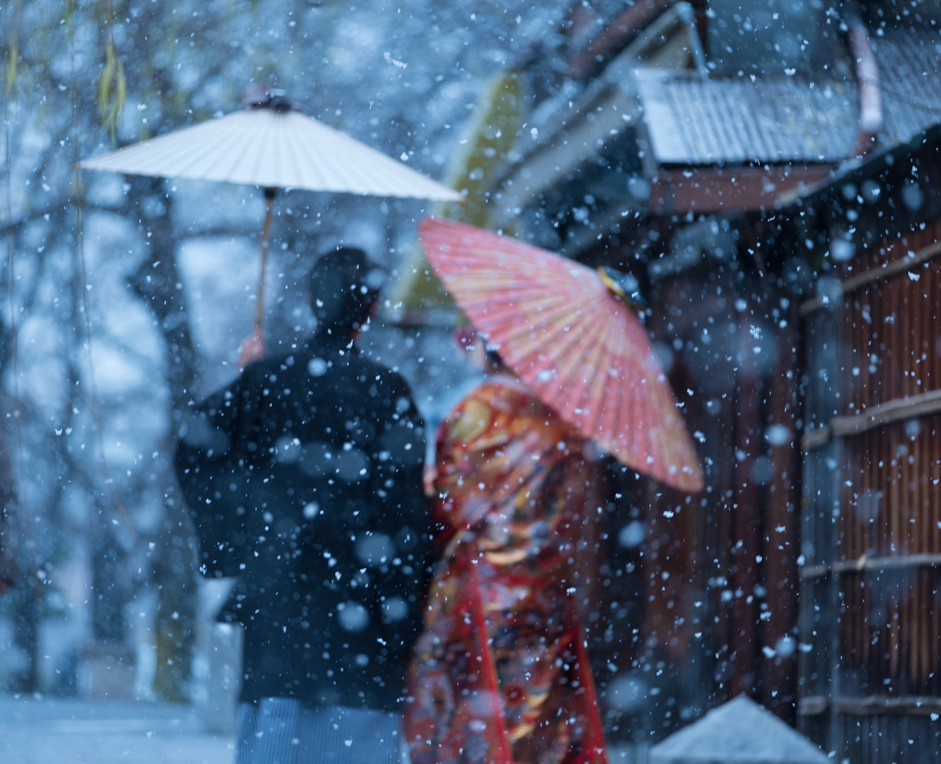 A couple stroll through the Shira-kawa area of Kyoto, wearing kimono and carrying umbrellas.