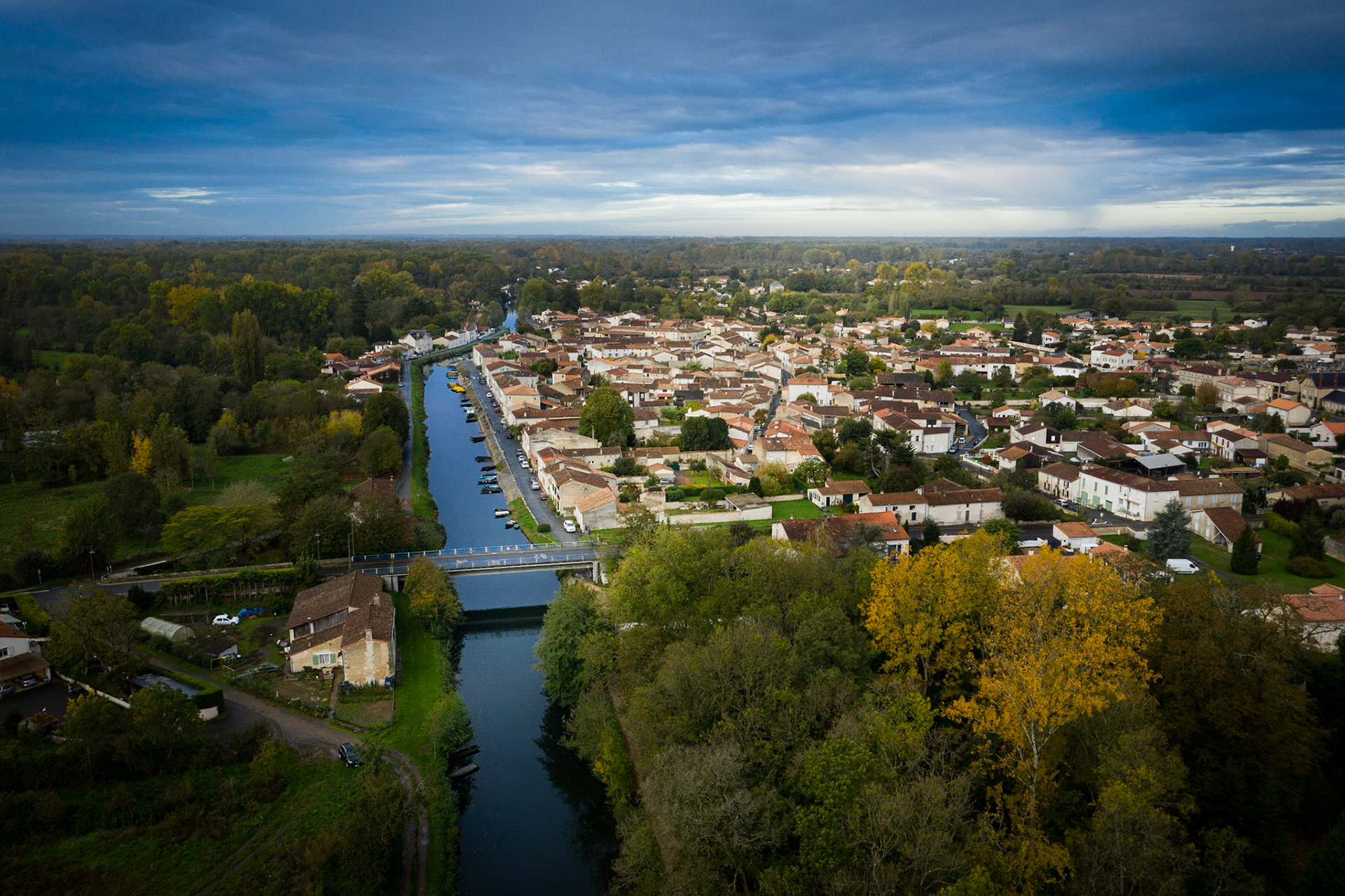 Coulon