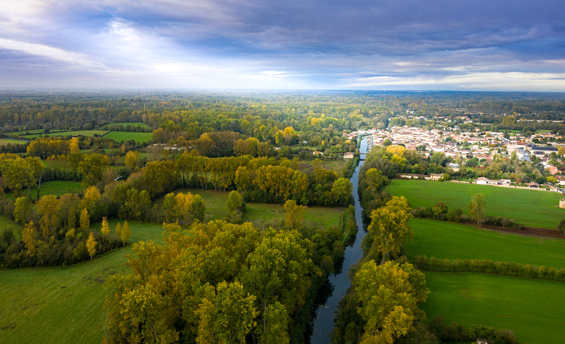 Coulon