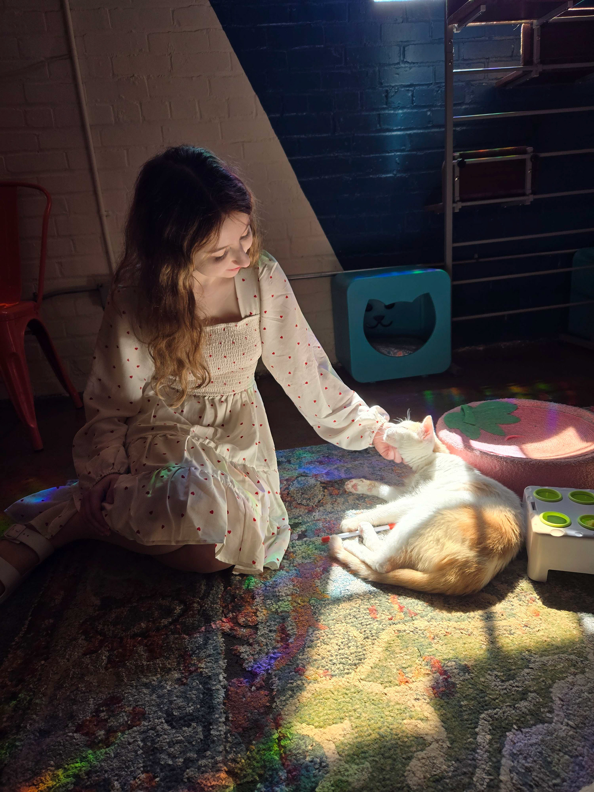 In my free time, I love going to cat cafes to relax.