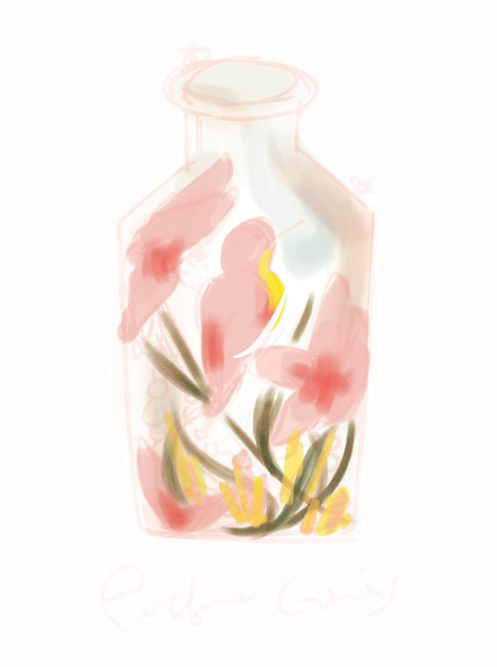 Color Mapping and Practice