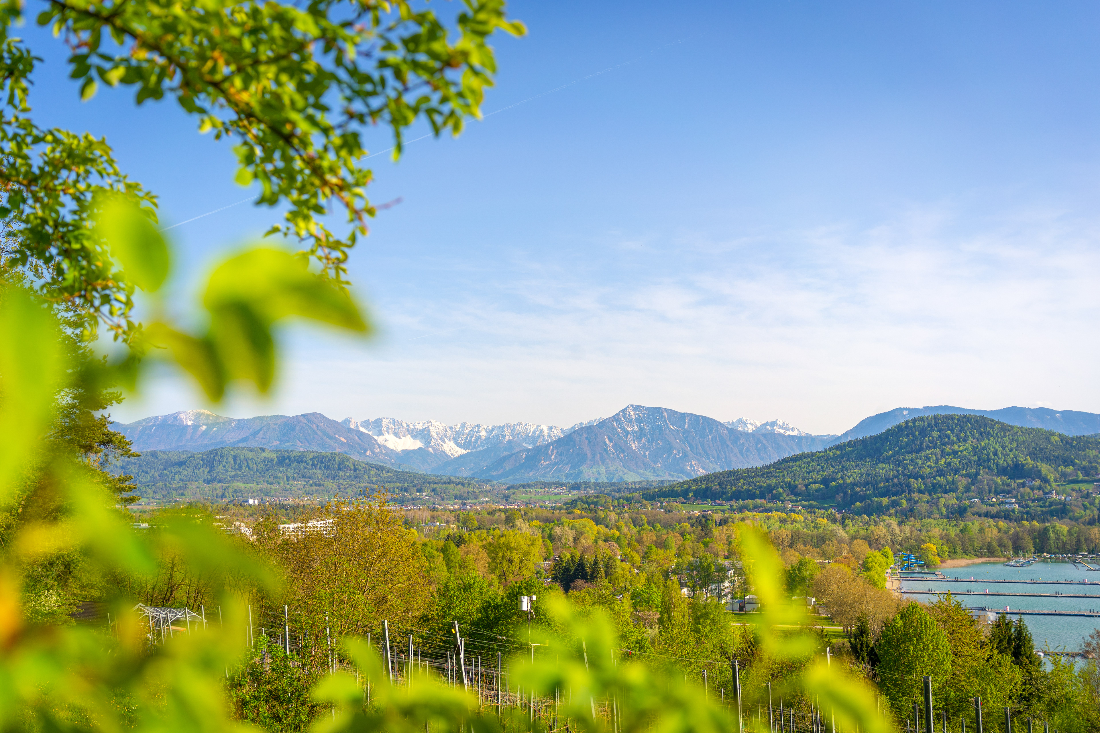 Weingarten am Wörthersee