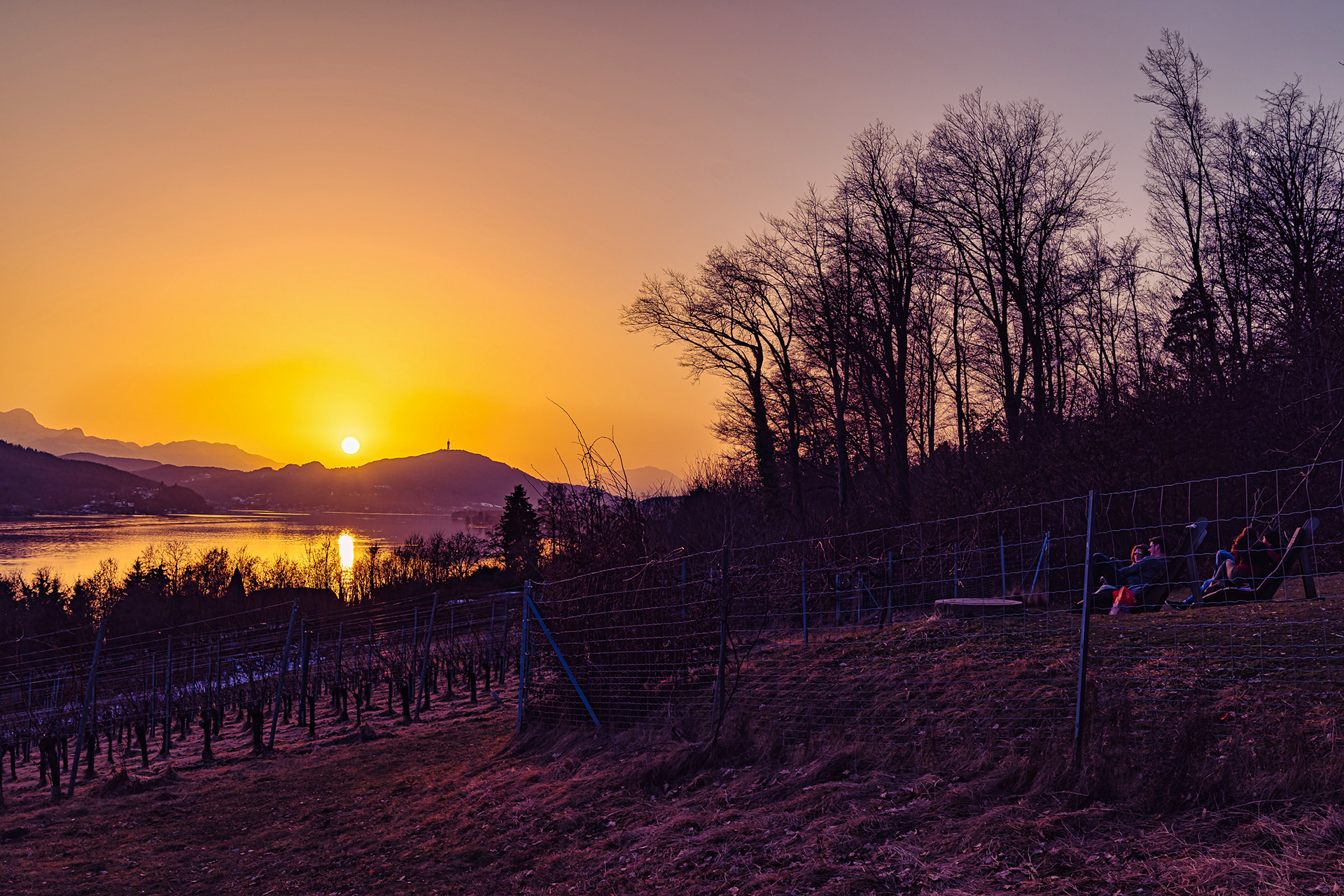 Weingarten Klagenfurt