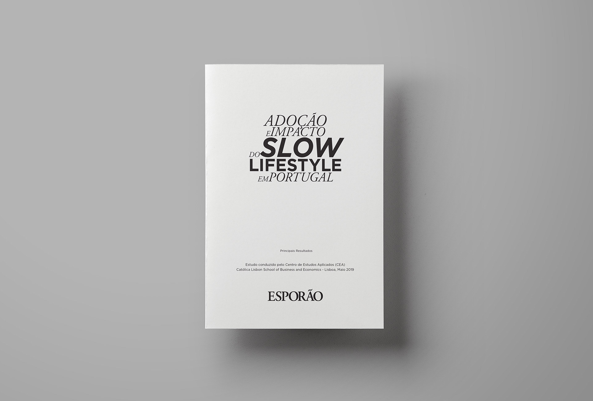 The Slow Study 