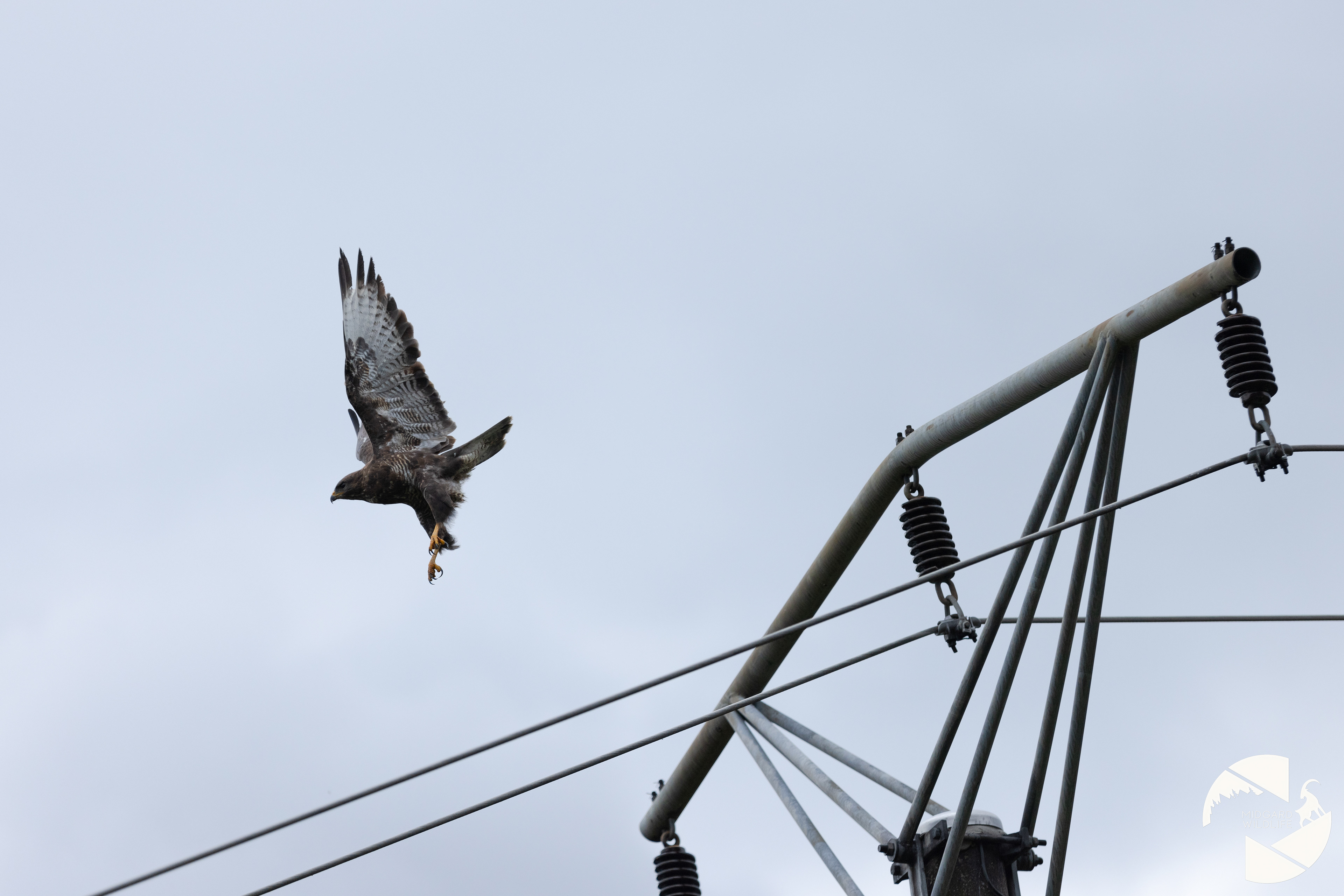 Buse variable