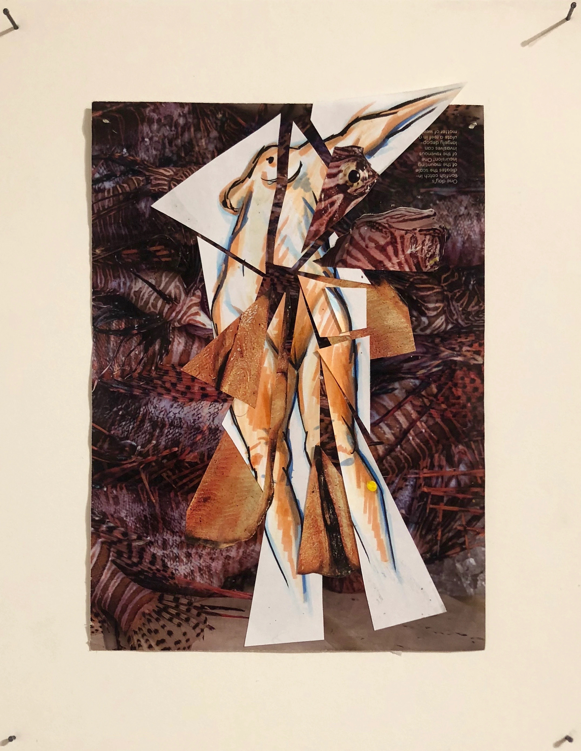 Untitled specimen no. 2, collage and ink on paper, 24 x 36”, 2018.