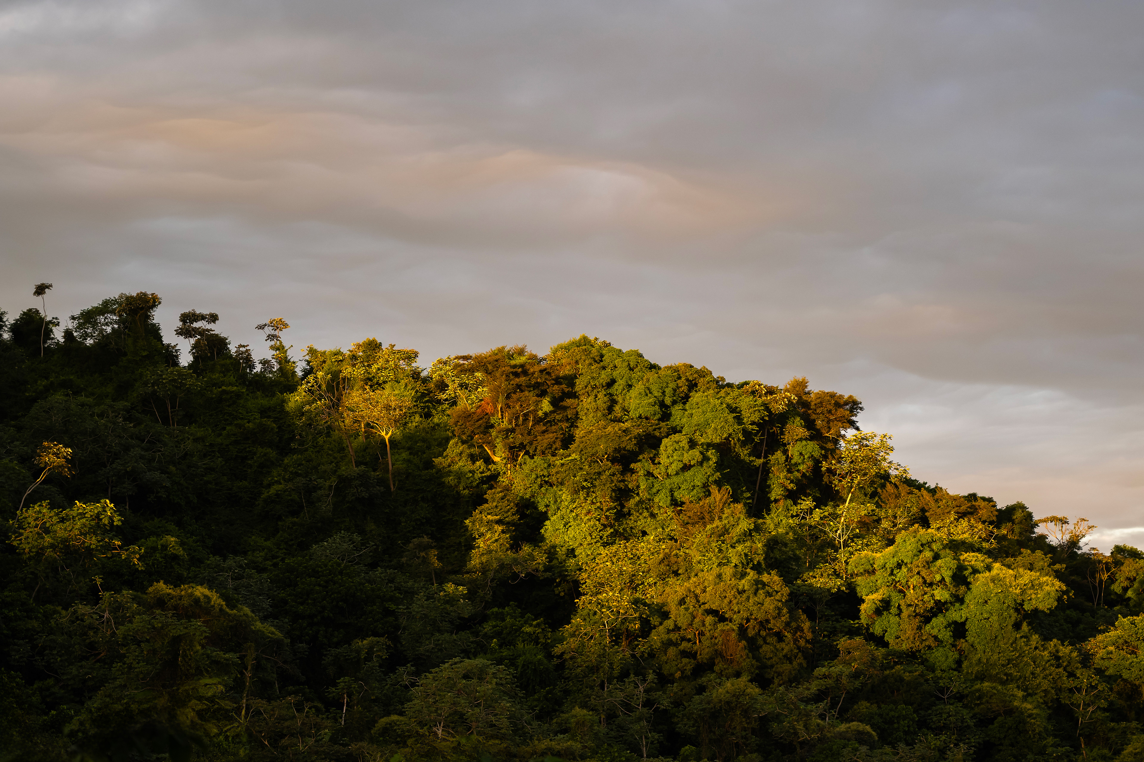 Beautiful sunset view over tropical trees on a hill with vibrant colors at Hacienda Eterna Primavera, Puerto Rico, offering breathtaking vistas for relaxation.