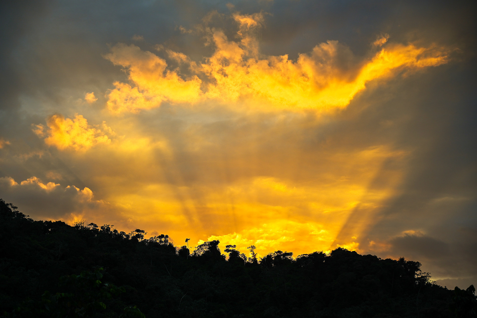 Glowing golden sunset over the hills surrounding Hacienda Eterna Primavera, with dramatic rays of sunlight breaking through clouds—capturing the unforgettable magic of Puerto Rico’s evening sky.